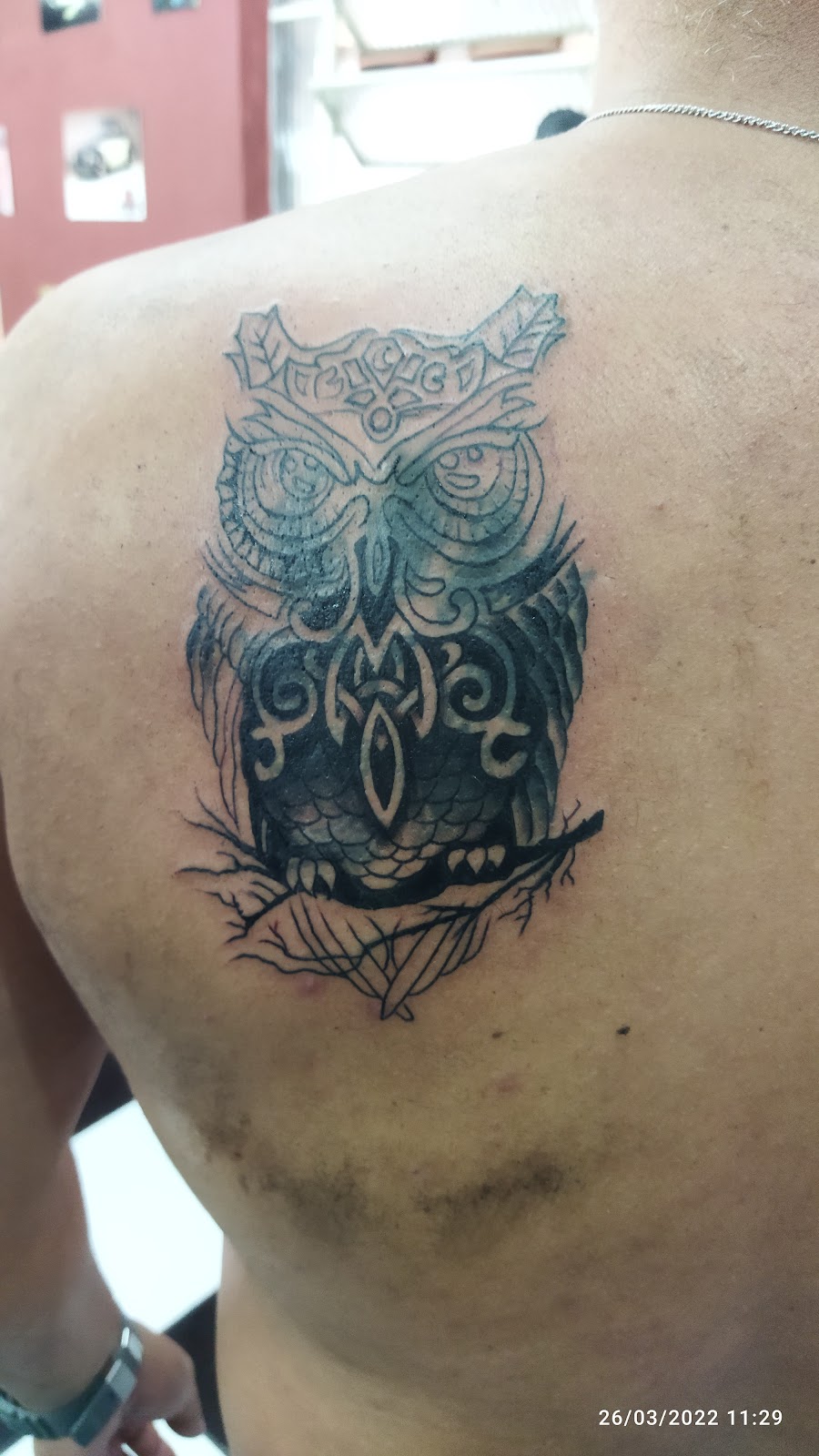 Tatuagem de coruja feita nas costas de um cliente da Park Show